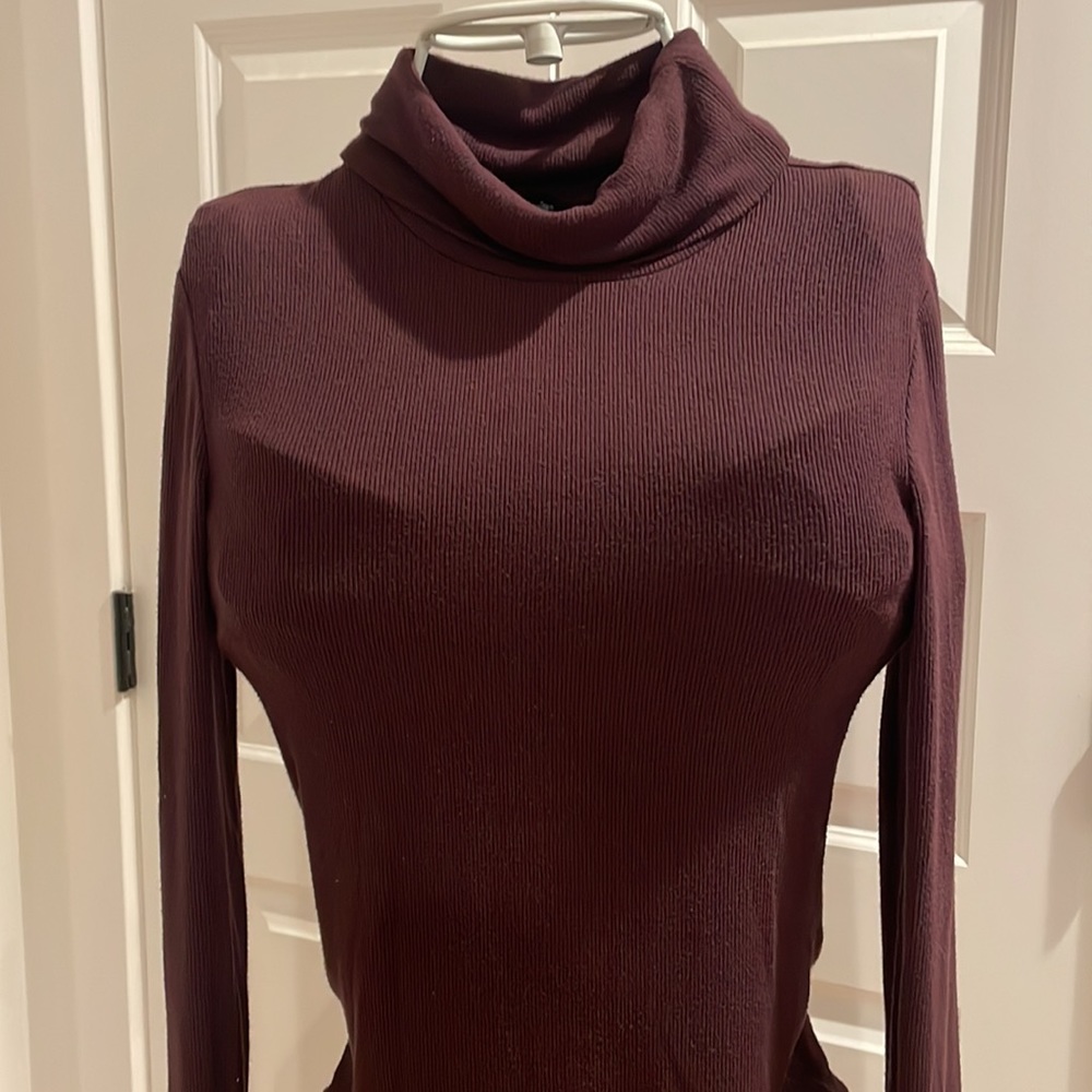 Sanctuary turtleneck
